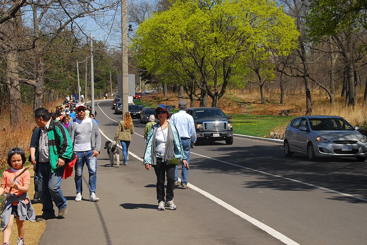 Pedestrians walking in pedestrian/bike lane beside road